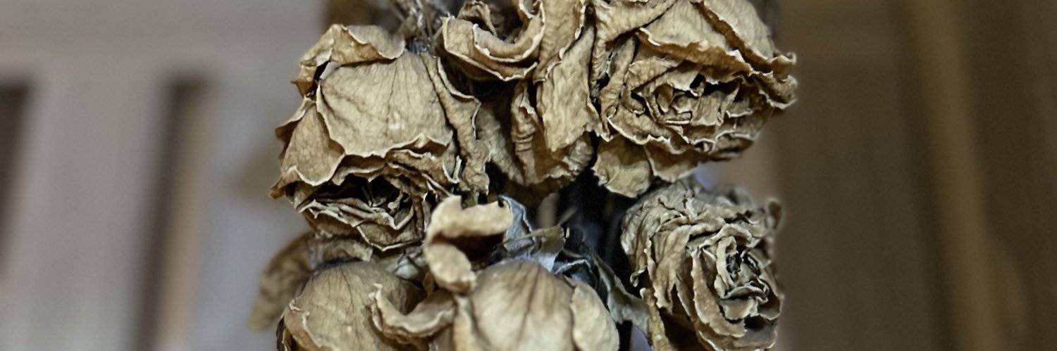 itsgonin's profile banner image