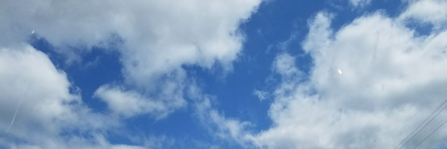 loralithorson's profile banner image