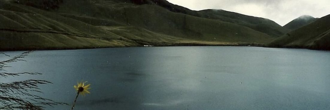MaVictoriaYL's profile banner image