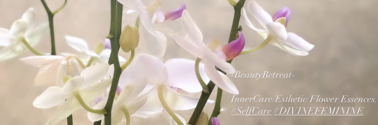 manaromantic's profile banner image