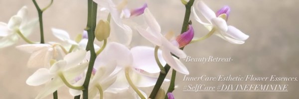 manaromantic Profile Banner