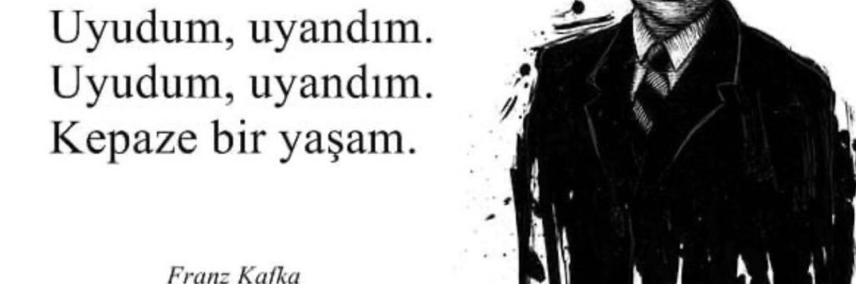 meslaynn's profile banner image