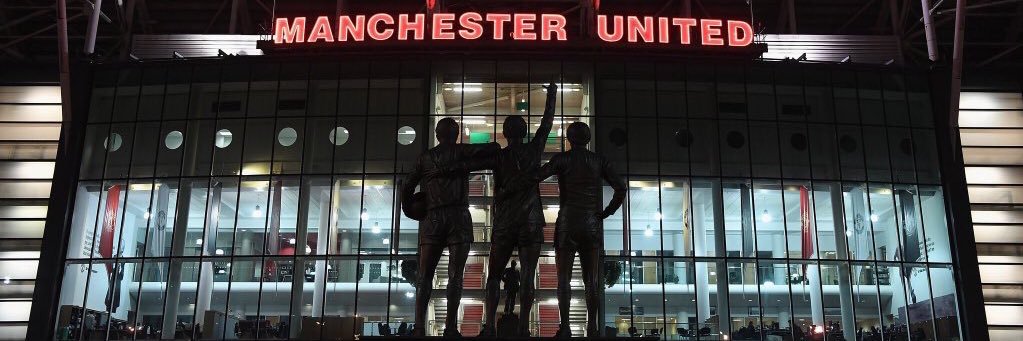 Shane McNiffe banner