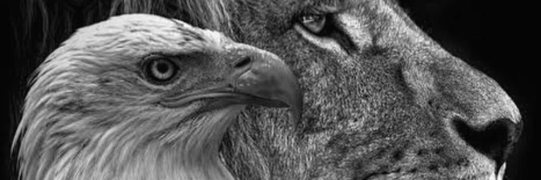 sam_onayemi's profile banner image