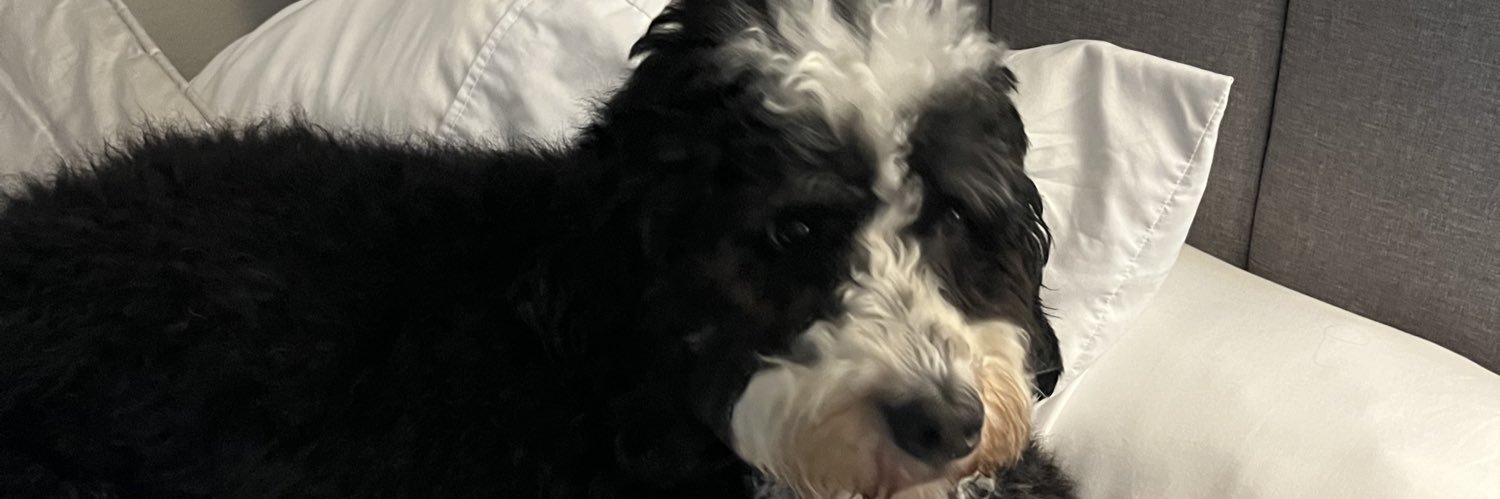 AyooGabagool's profile banner image