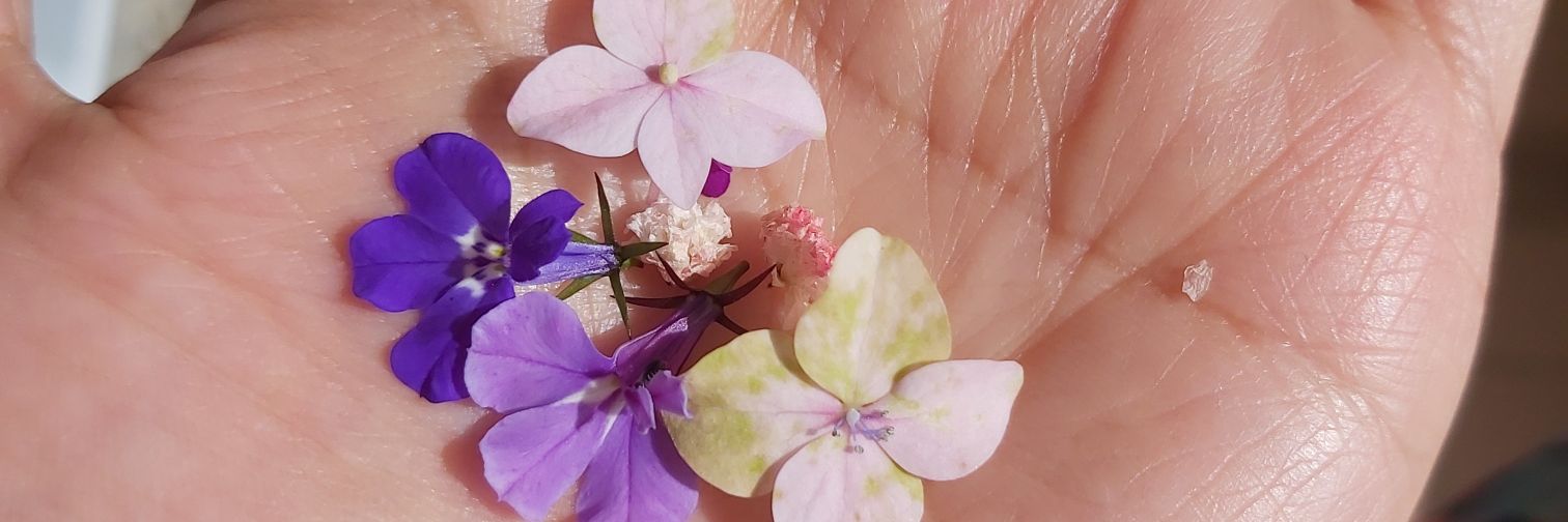 giaprym's profile banner image