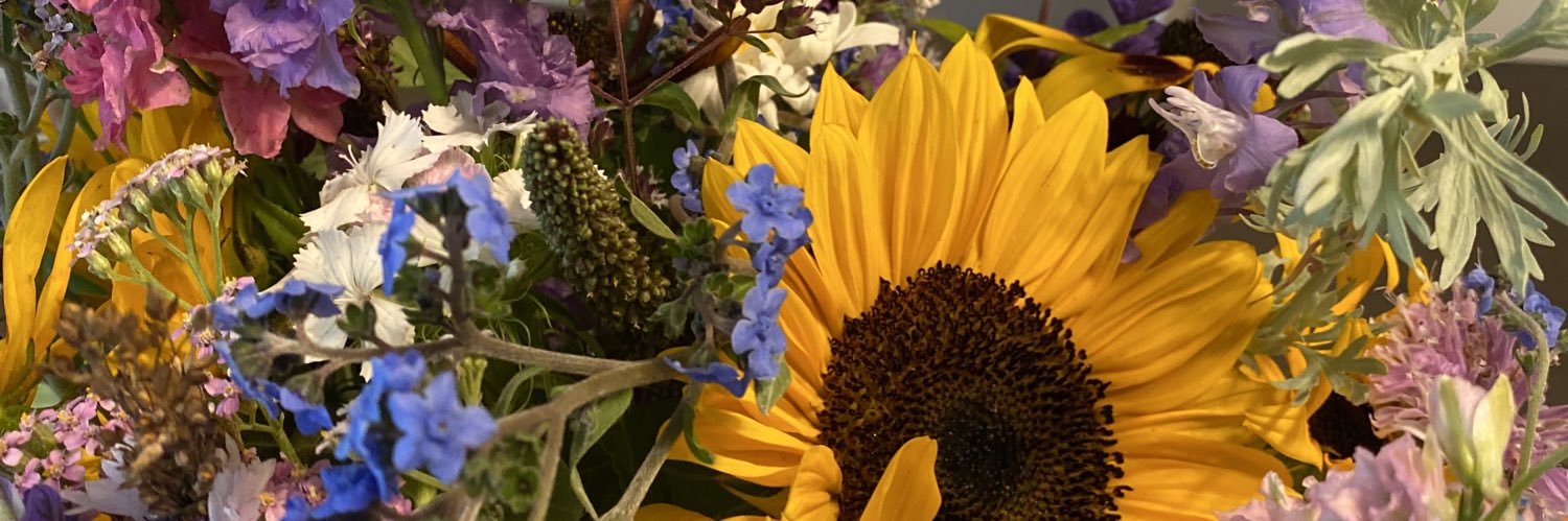 Erica Pereles banner