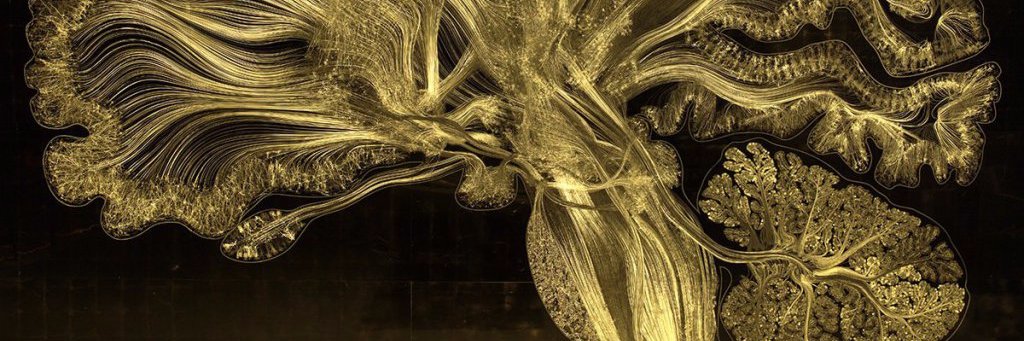 jmatagomez's profile banner image