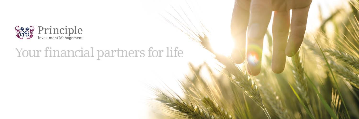 Principleinvest's profile banner image