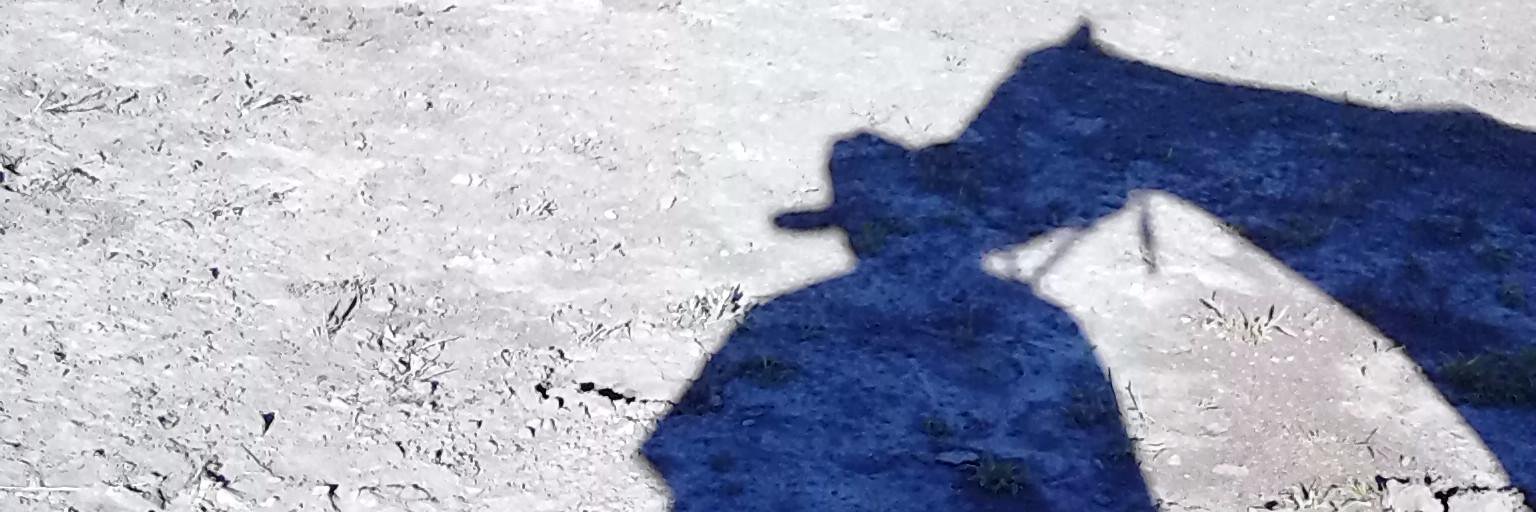 HornbackJim's profile banner image