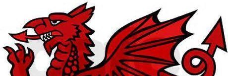 MissTreenutz's profile banner image