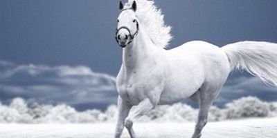 ammarhashim8's profile banner image