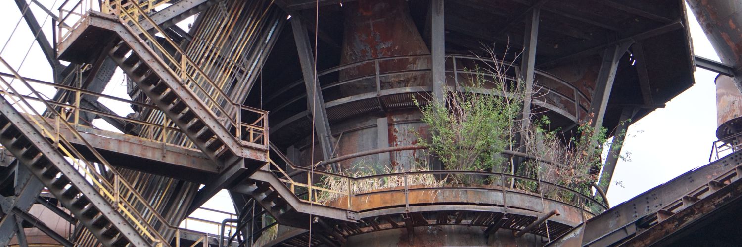 grenkoca's profile banner image