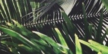 martinaagdr's profile banner image