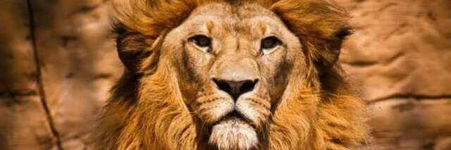 Bigsammy29's profile banner image