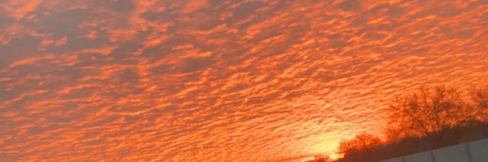 lilmsperfectq's profile banner image