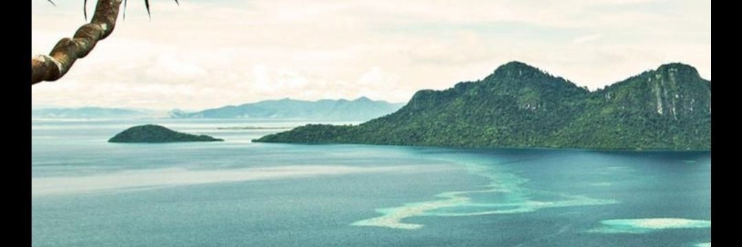 NeillMurphyx's profile banner image