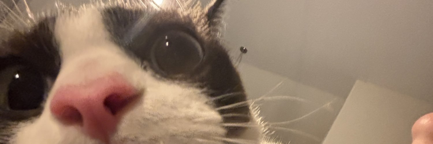 SHEAANICOLE's profile banner image