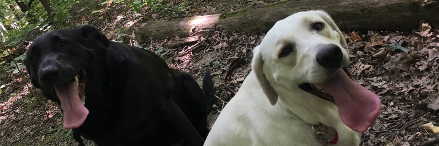 Douglas Boersma banner