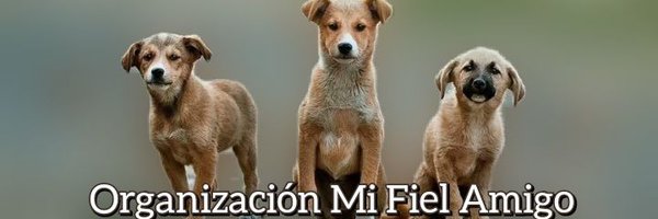 OMFA_Refugio Profile Banner