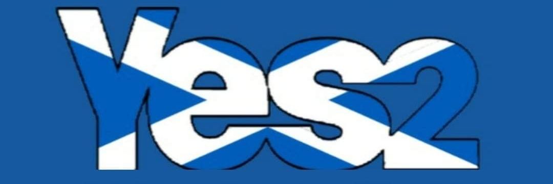 IndySilverfox banner