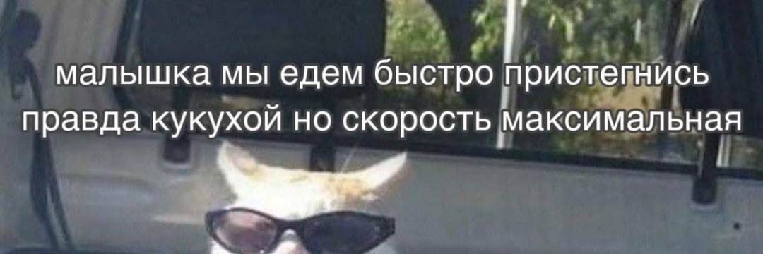 _psyhopsina's profile banner image