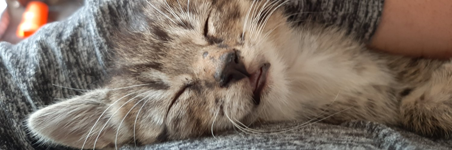 MarXspot21's profile banner image