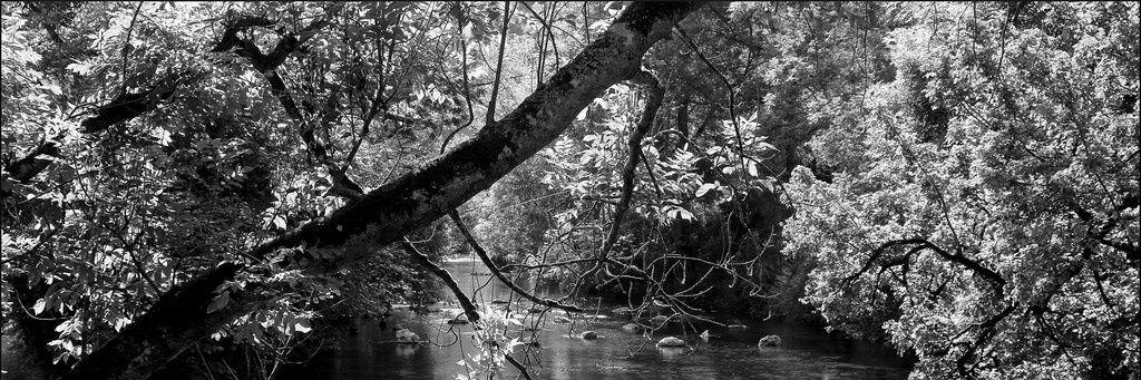 scheucpa's profile banner image