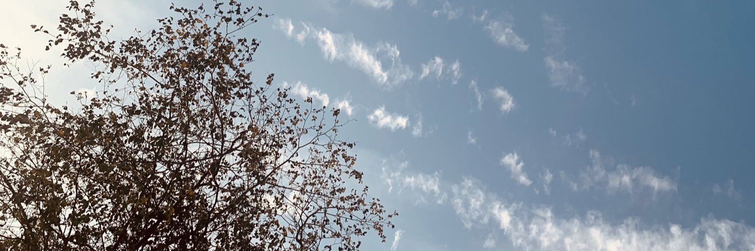24Trilok's profile banner image