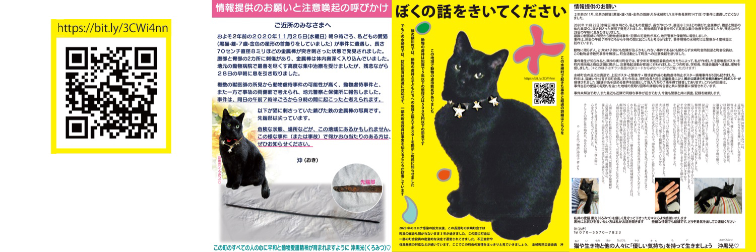 Junko SUZUKI-OKI banner