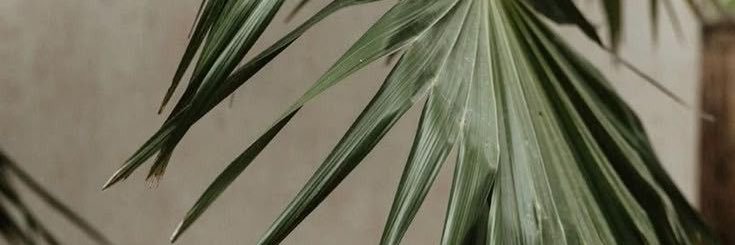 missjaylovely's profile banner image