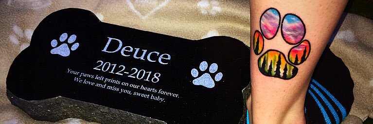 _TaraGillespie's profile banner image
