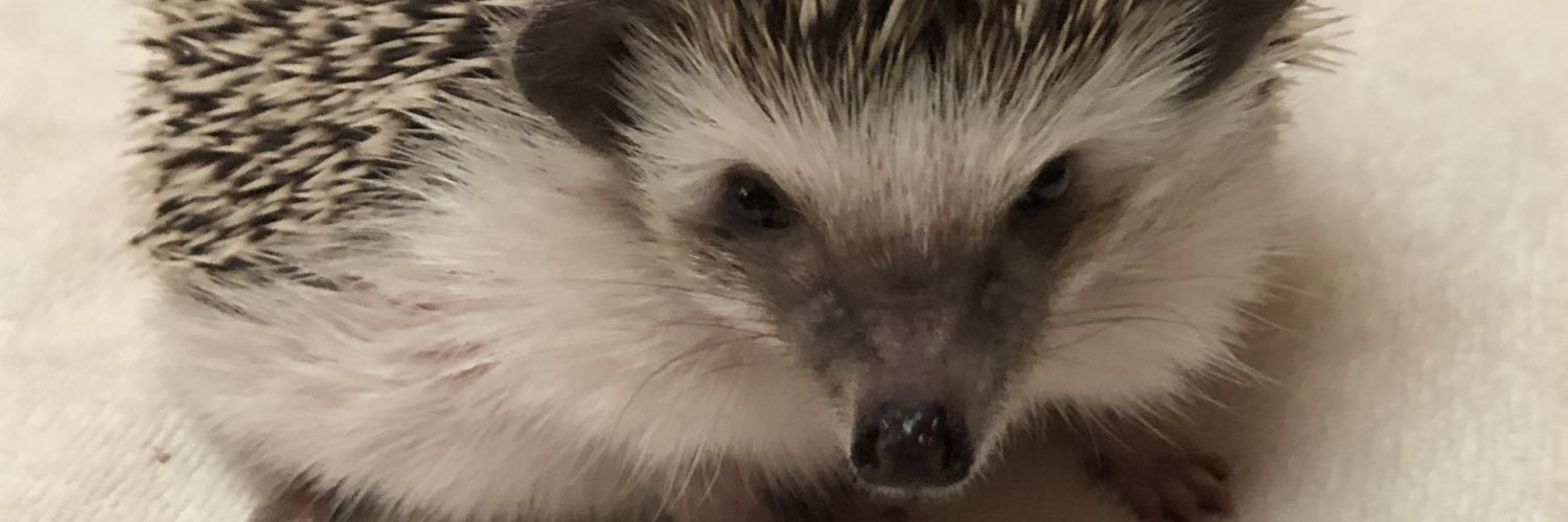 Just_Axel19's profile banner image