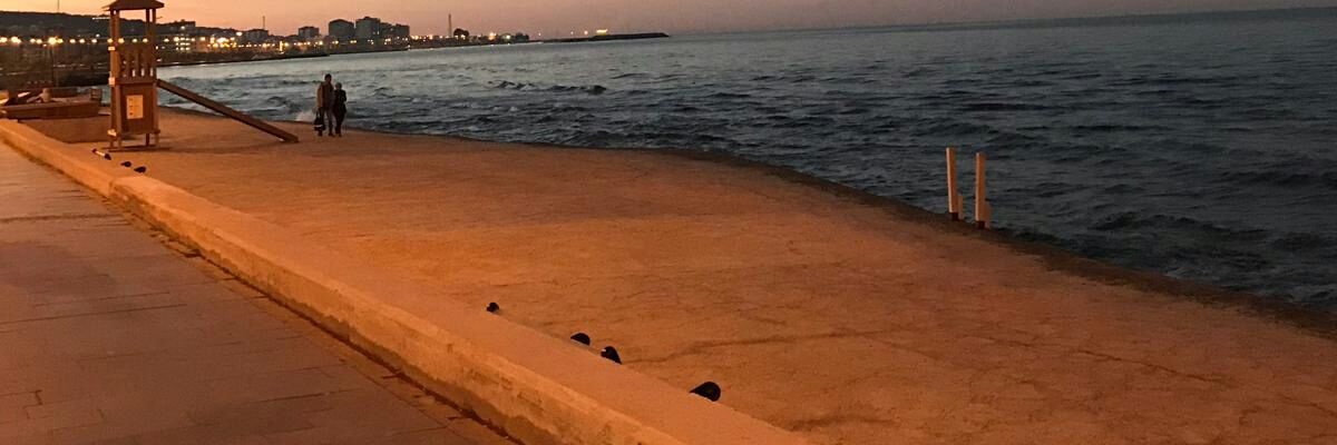 CeSahbaz's profile banner image