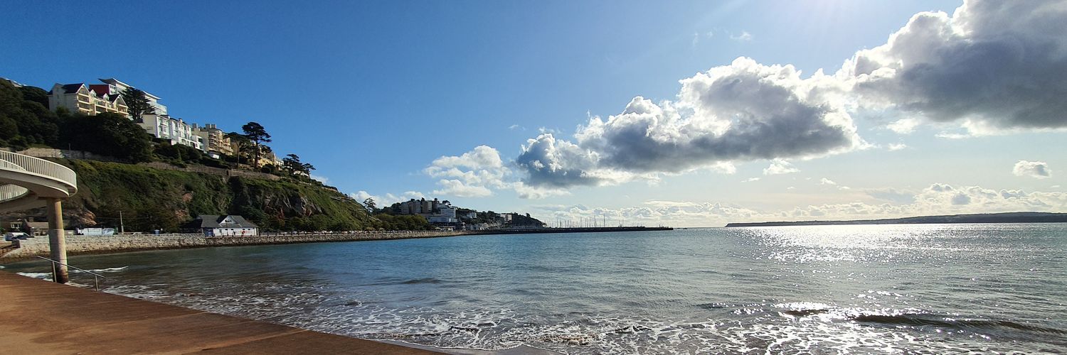 Timothy Goodall banner