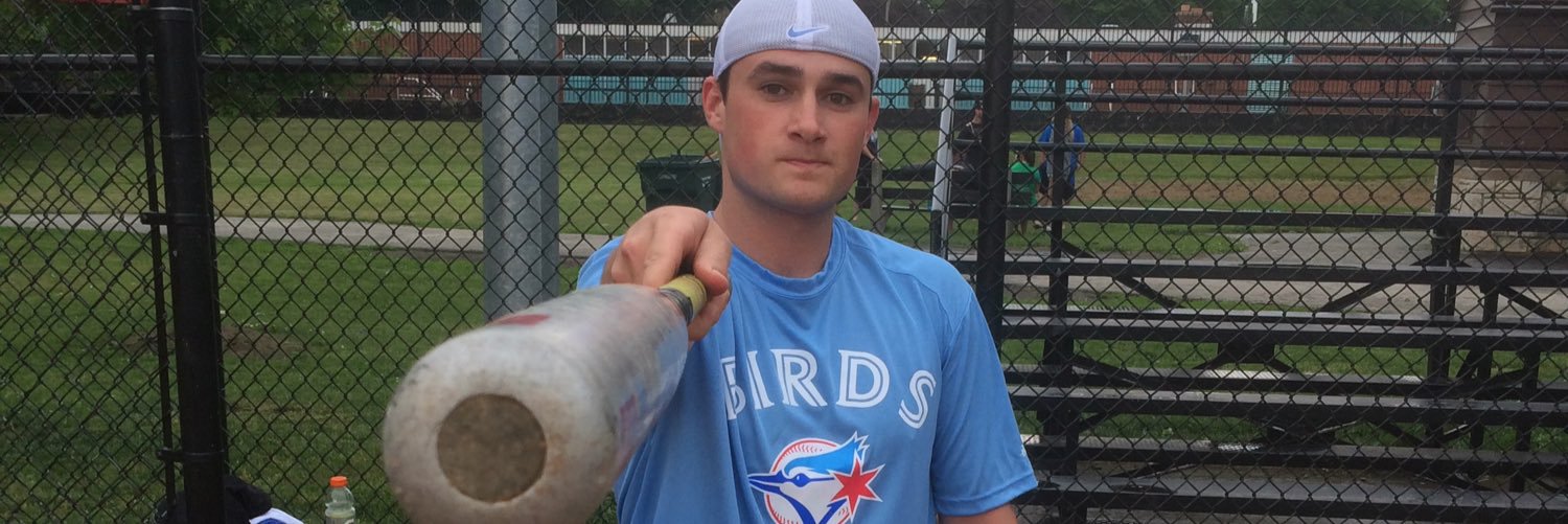 BirdsSoftball's profile banner image