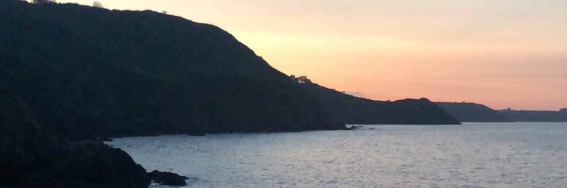 EldwinaF's profile banner image