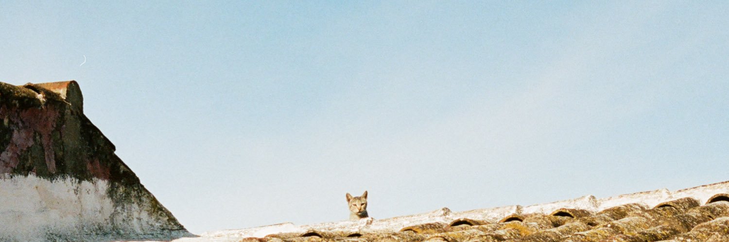 thislucassanto's profile banner image