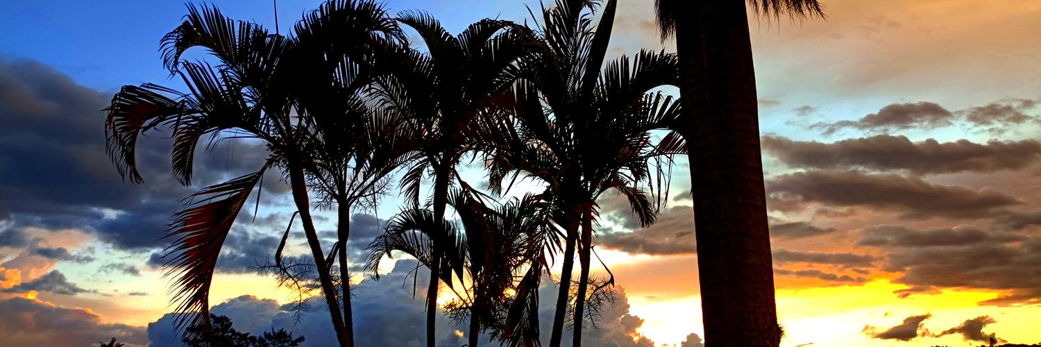 danielitasaenx's profile banner image