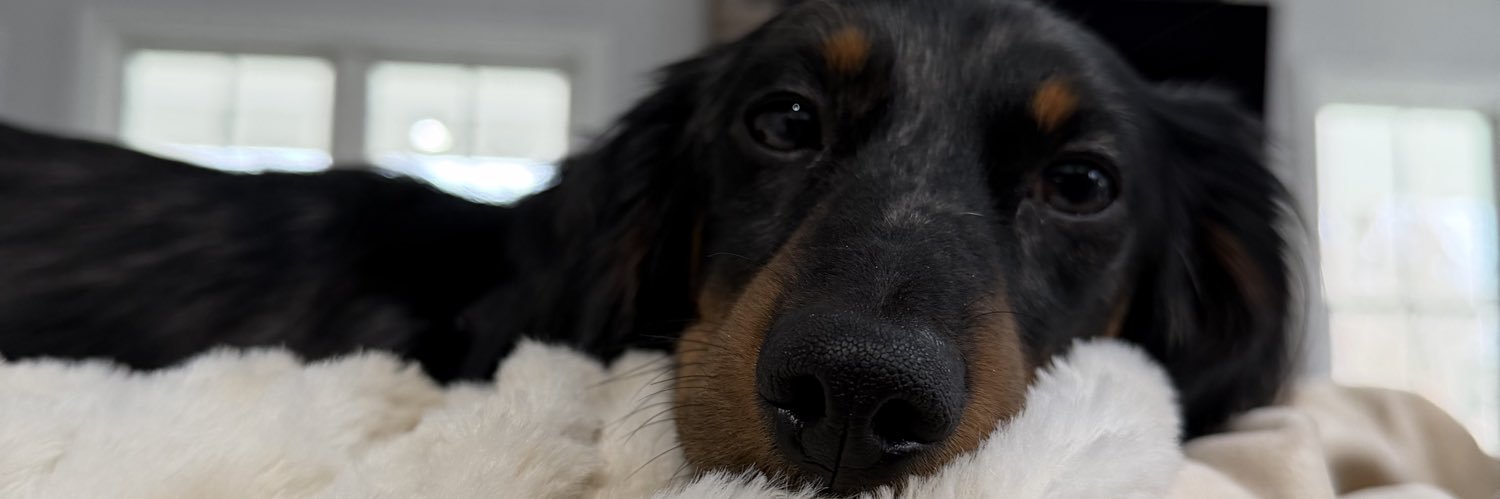 snerth4's profile banner image