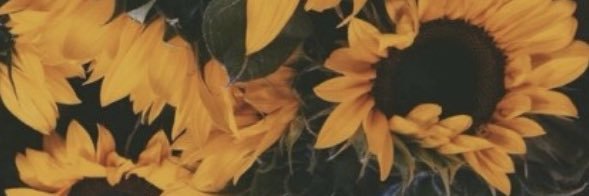 Kayleighhhhh17's profile banner image