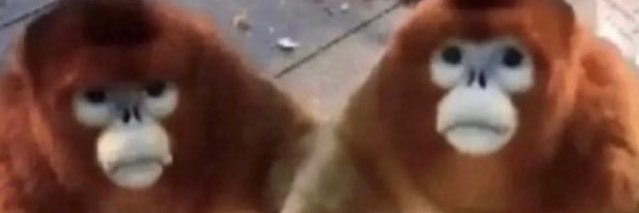 Small Baby banner
