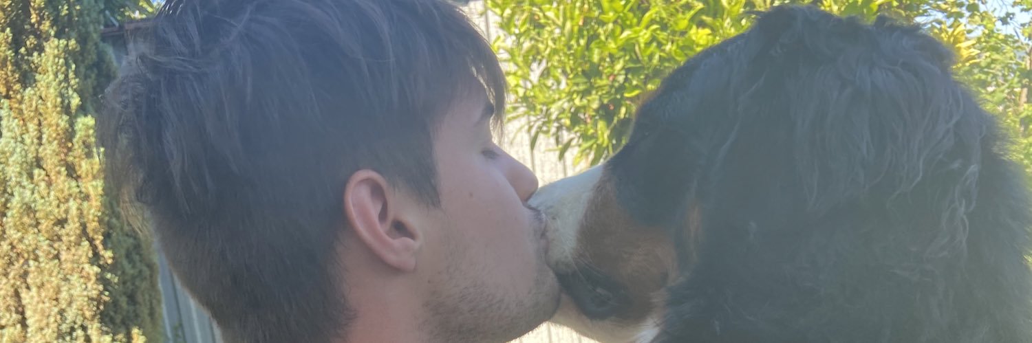 AndreaDreon's profile banner image