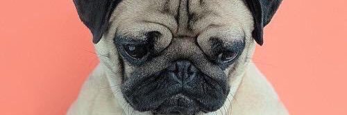 AmandaFlynnn's profile banner image