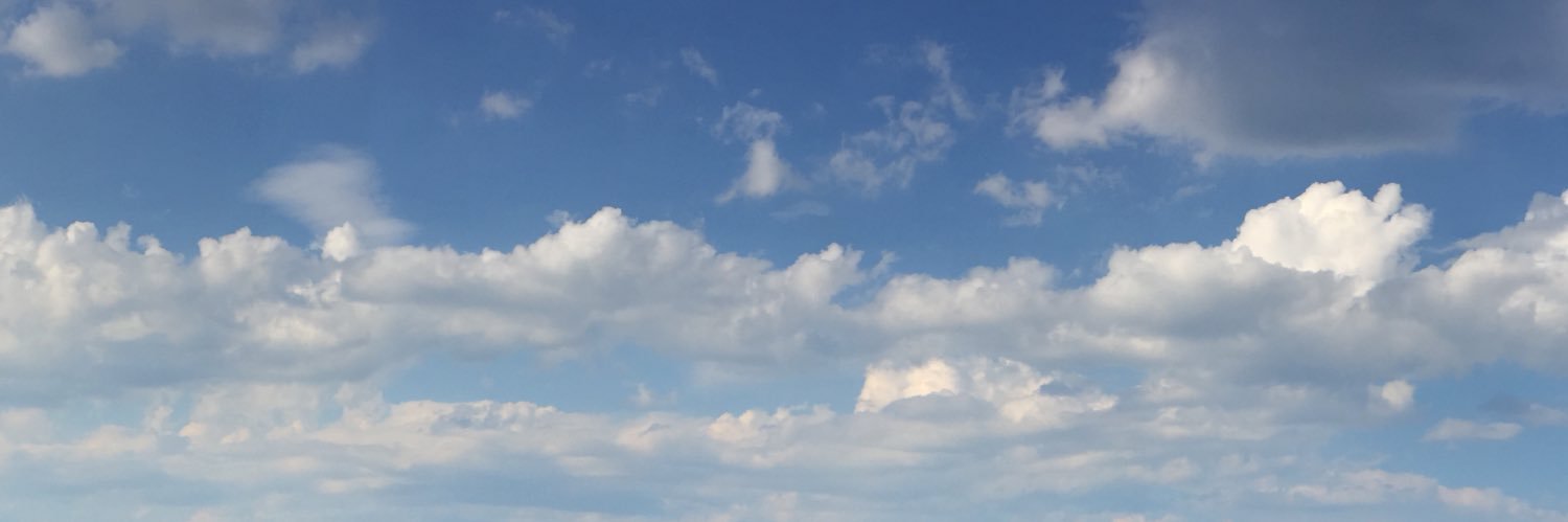 alysoncasey08's profile banner image