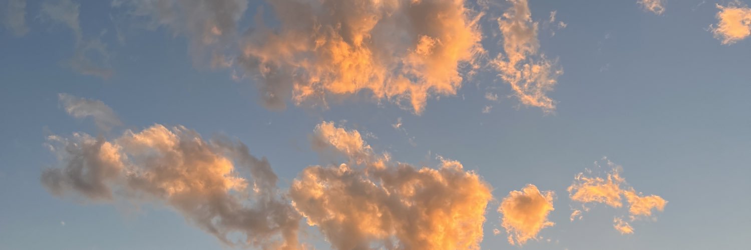 ahnagambatese's profile banner image