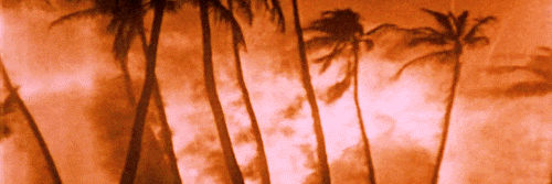 Guilherme Luís Maba banner