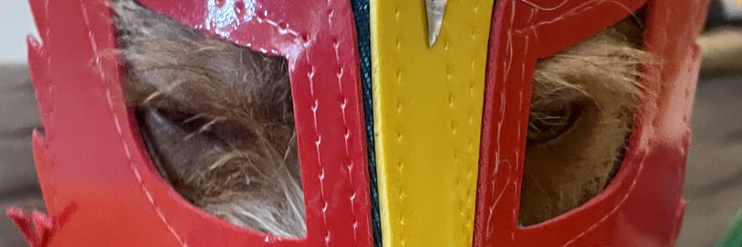 Laces___'s profile banner image