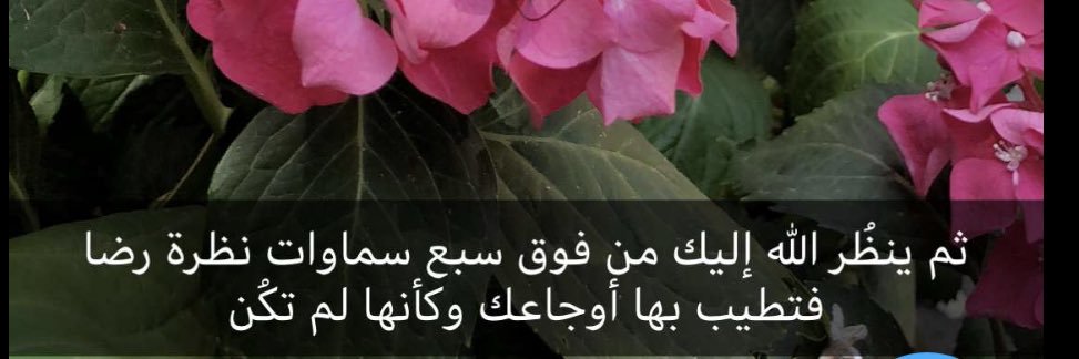 0122Yaser's profile banner image