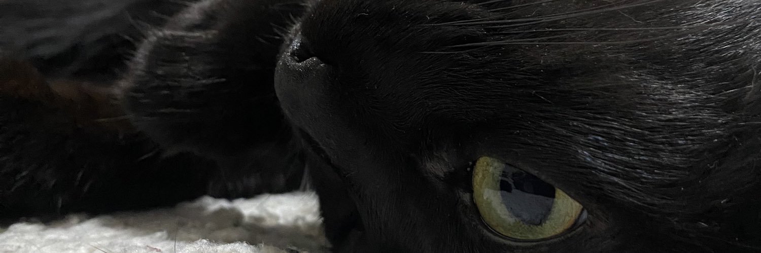 _dodorado's profile banner image